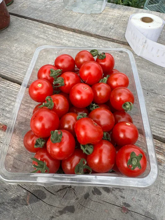 2 E1 DFB14 D105 4 FD7 929 E B3 E1 EB24 D8 E3