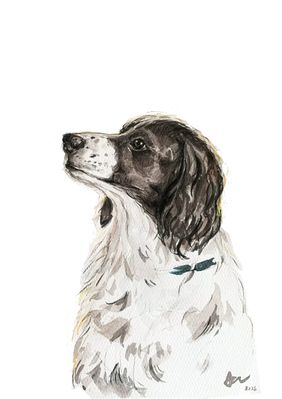 Dog1 1086x1536