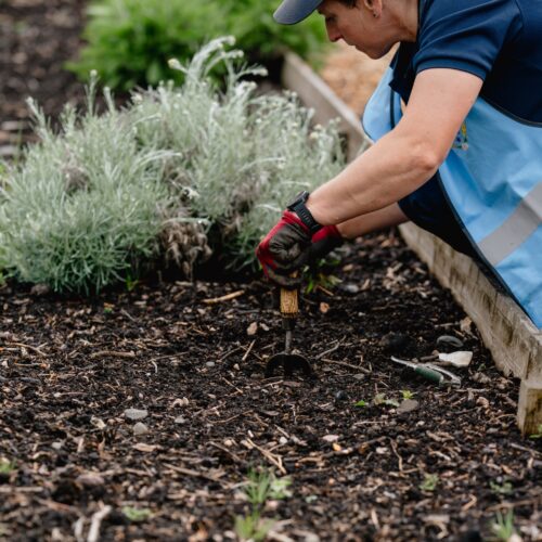 Photosbyzoe0113 edit