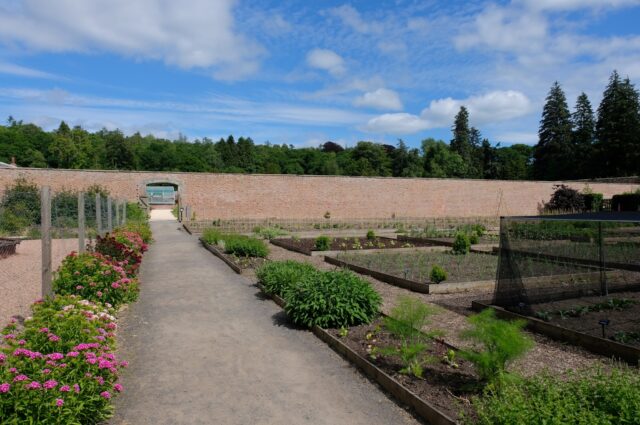 Kitchen garden web image