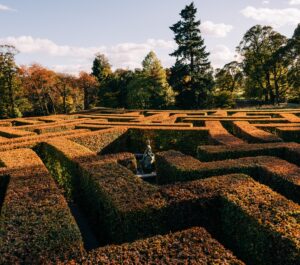 Maze in Autumn