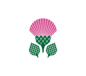 Garden Design Finalists 6