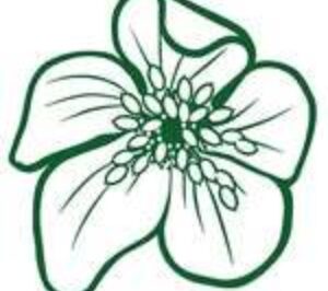 541903411 17847344037556999 4645897885368193636 n