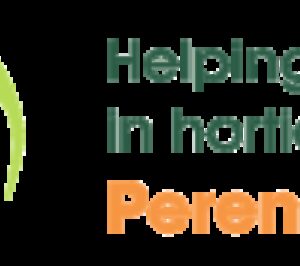 Perennial logo