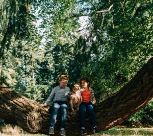 Douglas Fir Tree Higher Crop