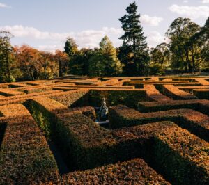 Maze in Autumn