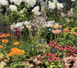 Primrose Bank Nursery