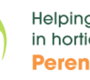 Perennial logo