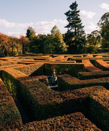 Maze in Autumn 1