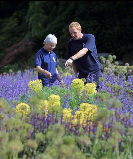 Screen Shot 2022 01 05 at 17 17 01