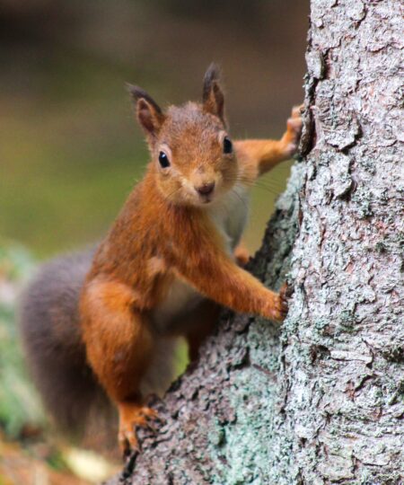 Pearse o halloran OP Ec O8 M m7 U unsplash