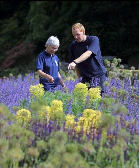 Screen Shot 2022 01 05 at 17 17 01