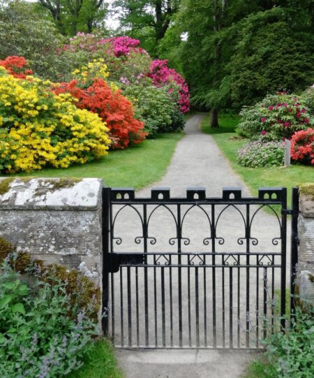 Gate on Scone Estate