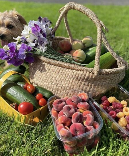 Kitchen Garden Produce