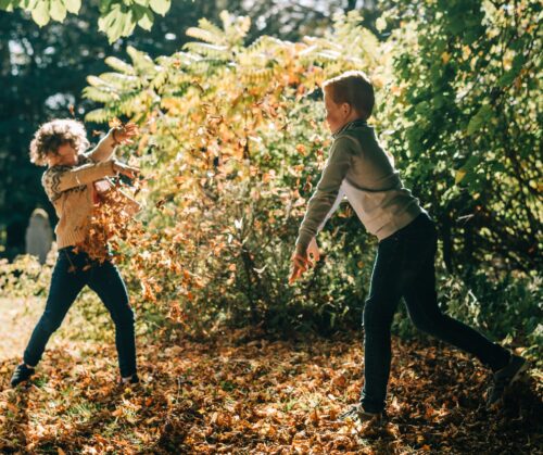 Autumn Fun in the Grounds Narrow Crop