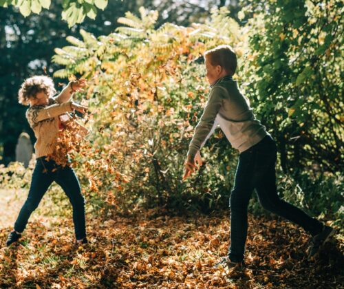 Autumn Fun in the Grounds Narrow Crop