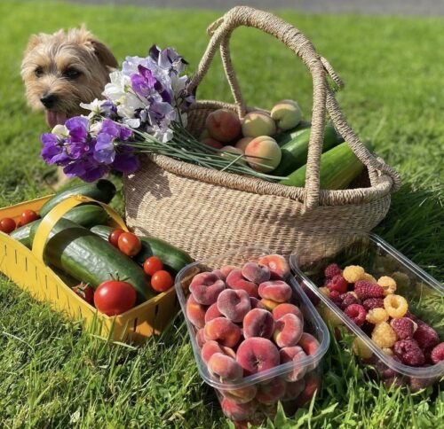Kitchen Garden Produce