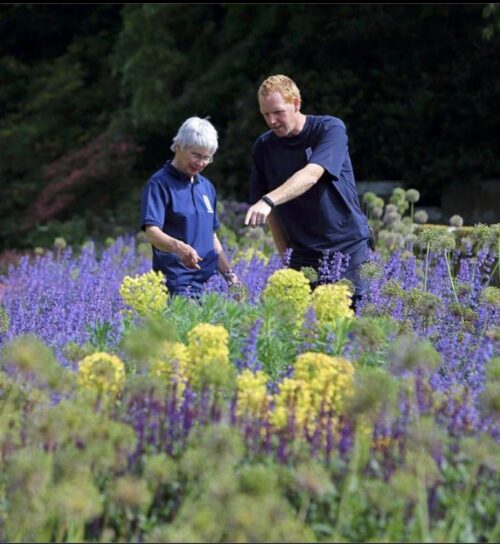 Screen Shot 2022 01 05 at 17 17 01