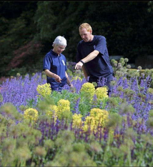 Screen Shot 2022 01 05 at 17 17 01