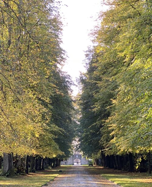 Avenue Looking toward the Ancient Archway