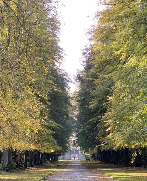 Avenue Looking toward the Ancient Archway