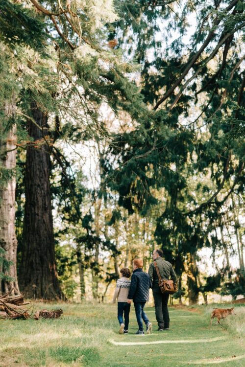 Family Strolling through the Pinetum at Scone Palace