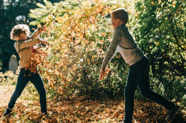 Autumn Fun in the Grounds Narrow Crop