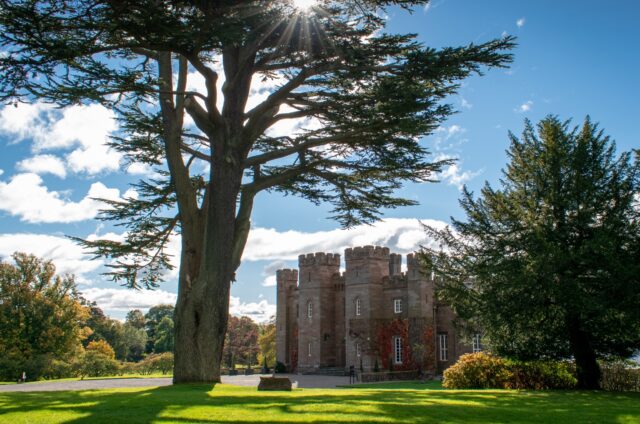 Palace Viewed from the Moot Hill in Sunshine