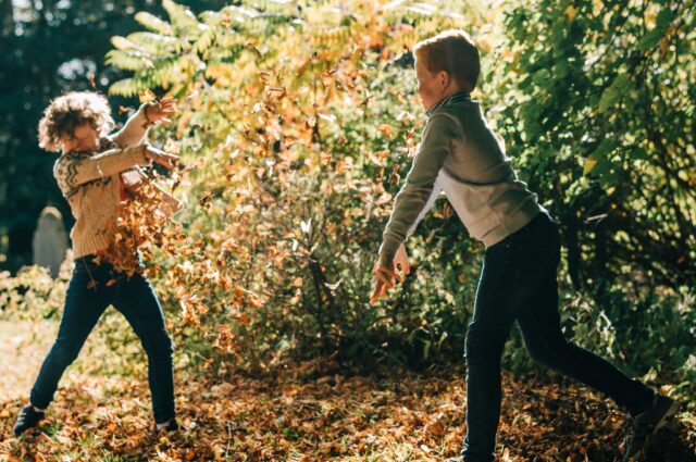 Autumn Fun in the Grounds Narrow Crop