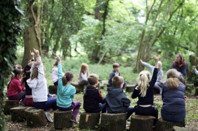 Childrens Bushcraft