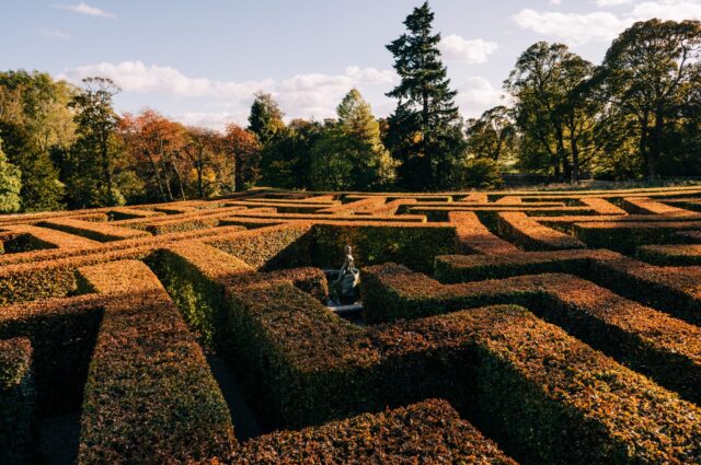 Maze in Autumn