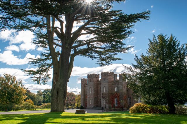 Palace Viewed from the Moot Hill in Sunshine