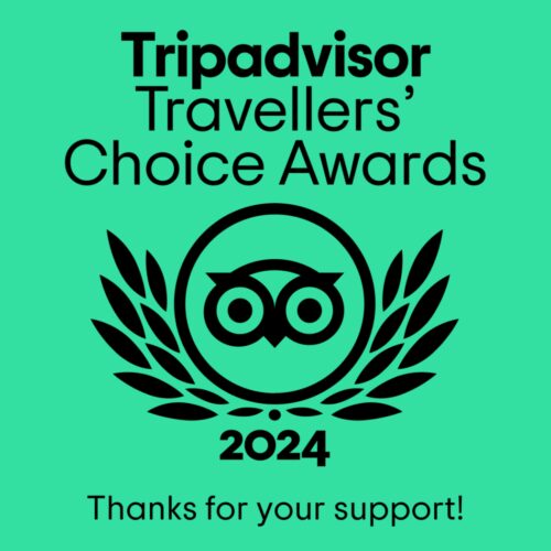 TC thank you social LL 1080 x 1350 2024