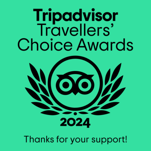 TC thank you social LL 1080 x 1350 2024