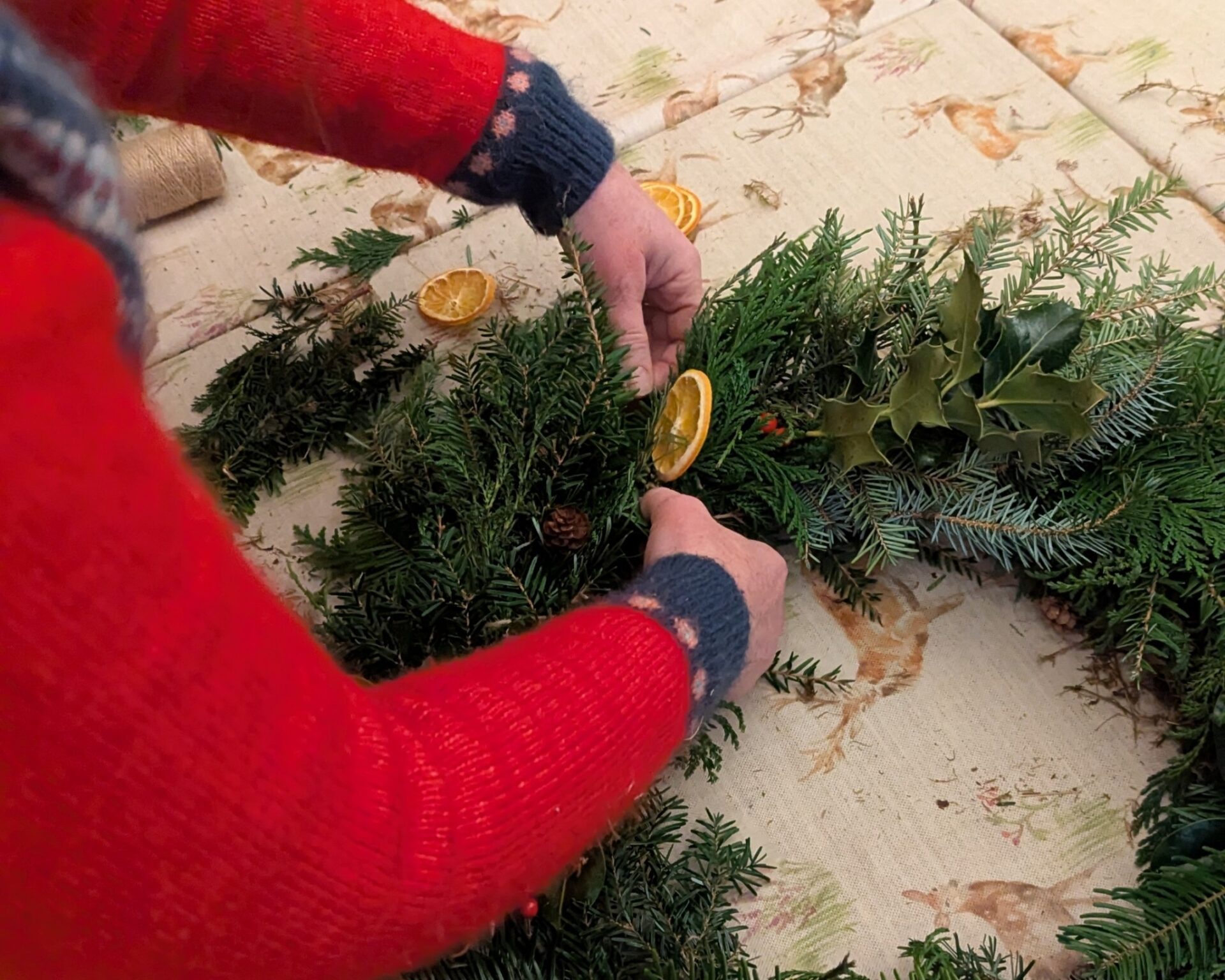 PXL 20241207 122342456 crop