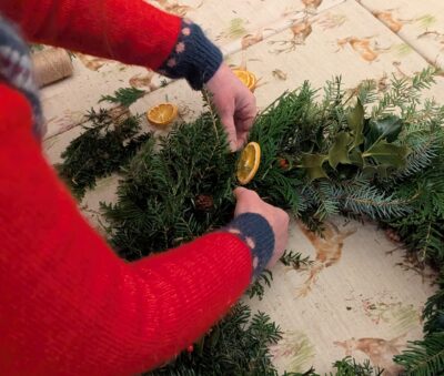 PXL 20241207 122342456 crop