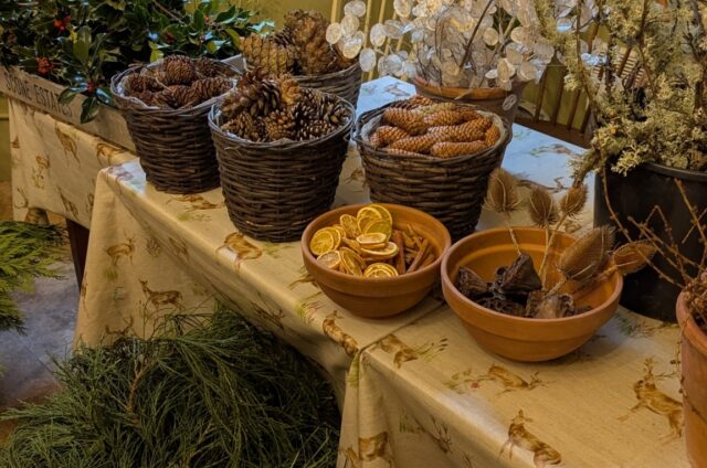 PXL 20241207 105205439 MP