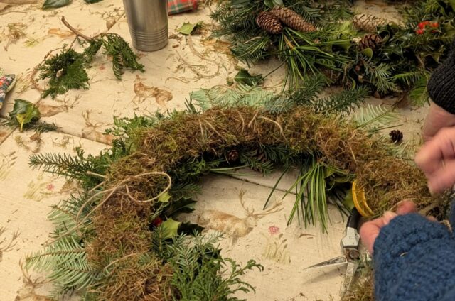 PXL 20241207 130346229