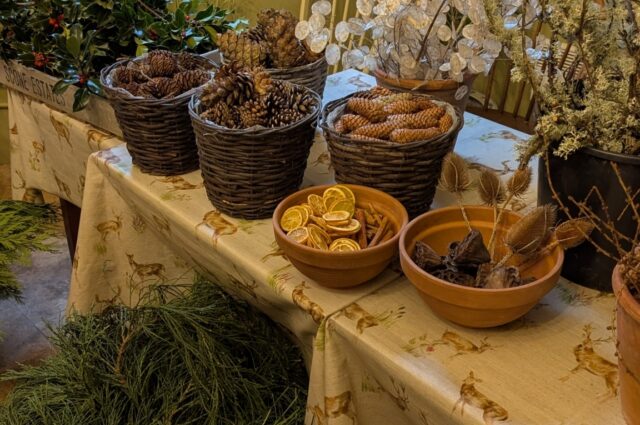 PXL 20241207 105205439 MP