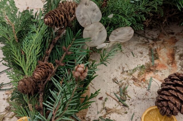 PXL 20241207 130812021