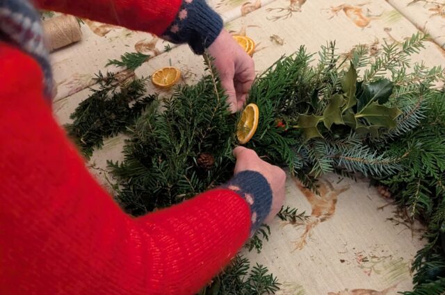 PXL 20241207 122342456 crop