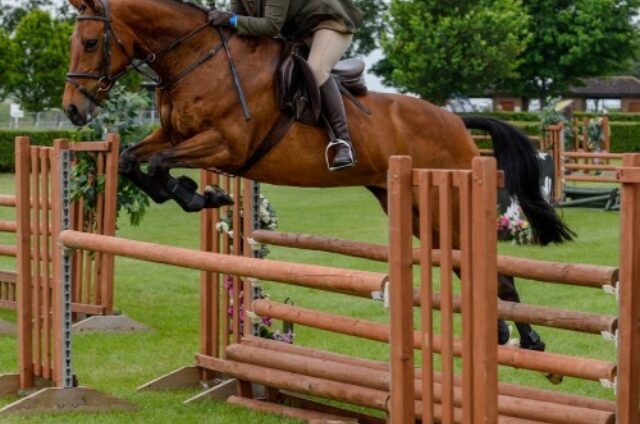 19515b28d00 Working Hunter banner sq500