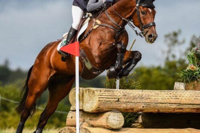 19515b23e86 International Eventing Banner sq500