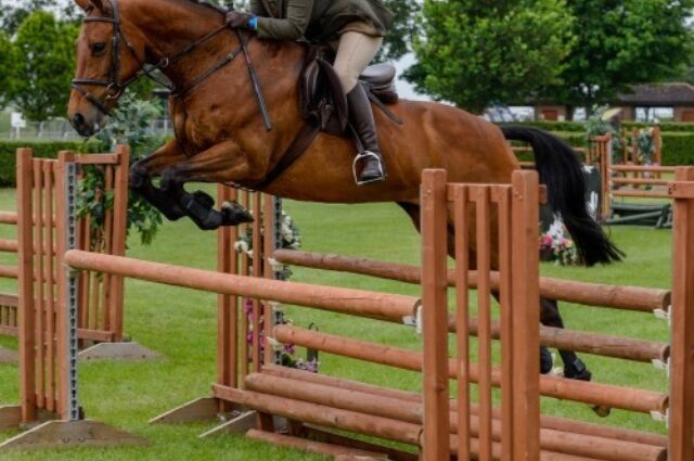 19515b28d00 Working Hunter banner sq500