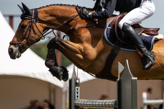 Horse trials