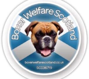 Boxer wellfare