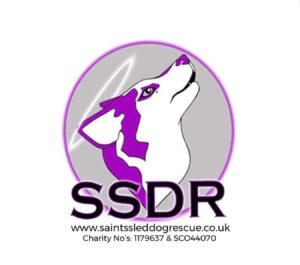 Saints sled dog rescue