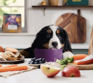 Pure Pet food