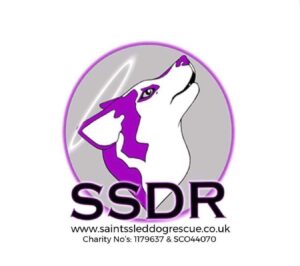 Saints sled dog rescue