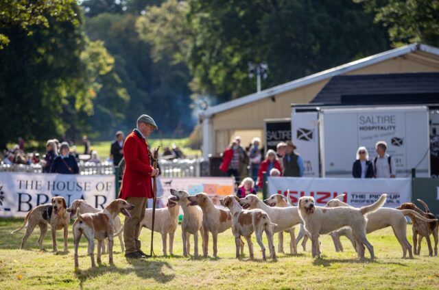 The Scotish Gamefair George Gunn 1099